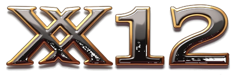 x12 logo